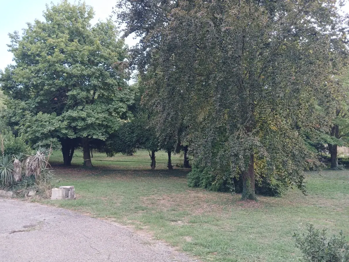 Les arbres fruitiers du parc