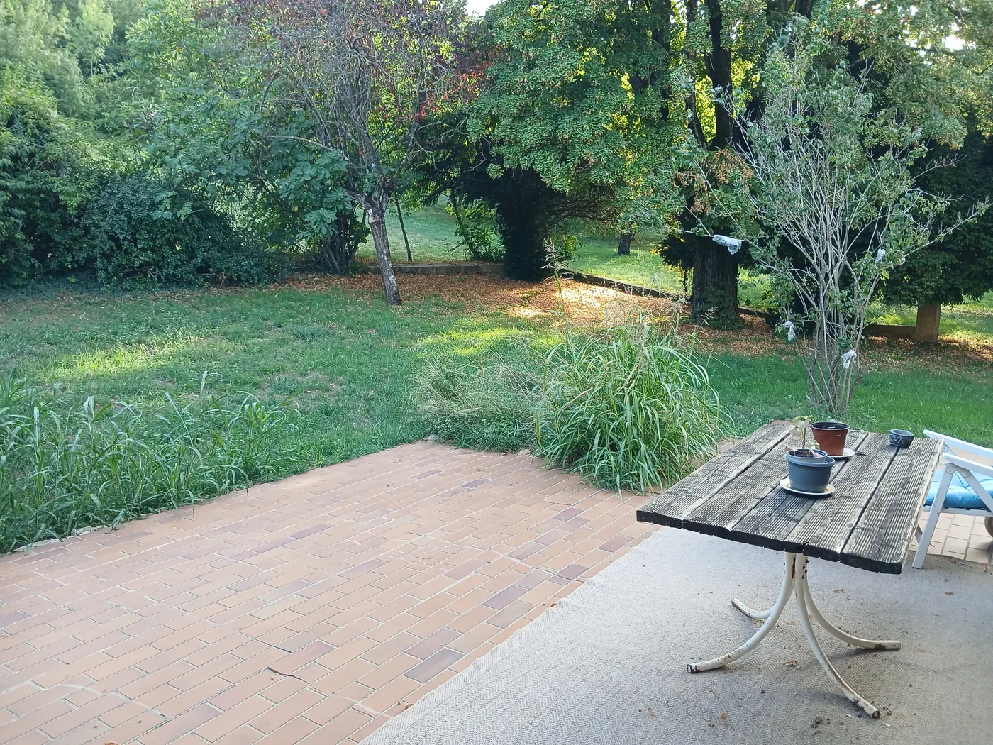 La terrasse et le jardin